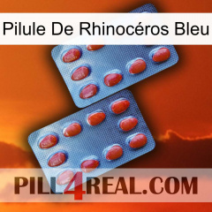 Pilule De Rhinocéros Bleu 05